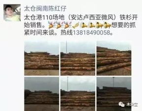 精品木材銷售信息 履約思源，不忘初心